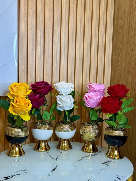 ROSE CUP SHINGO GOLD POTTEF FLOWER 🌹