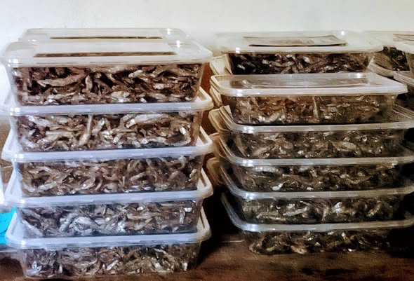 Dagaa Kutoka Mwanza Kwa Jumla na Reja Reja