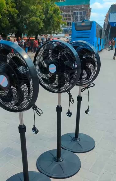 Aboarder Feni Bei Kitonga