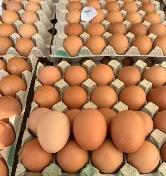 Agiza Mayai Sasa Kutoka KILOMBERO KUKU FARM