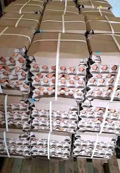 Agiza Mayai Sasa Kutoka KILOMBERO KUKU FARM