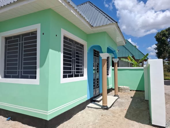 NYUMBA INAUZWA CHANIKA MTAA WA ZINGIZIWA