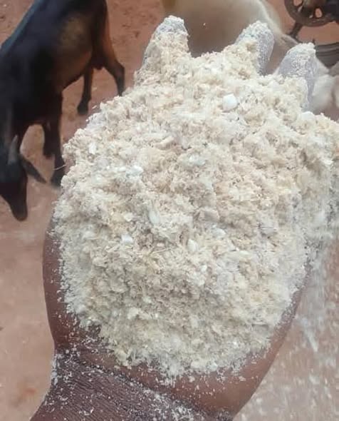 AGIZA SASA PUMBA ZA MAHINDI ZIPO