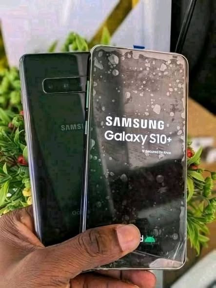 SAMSUNG S10+