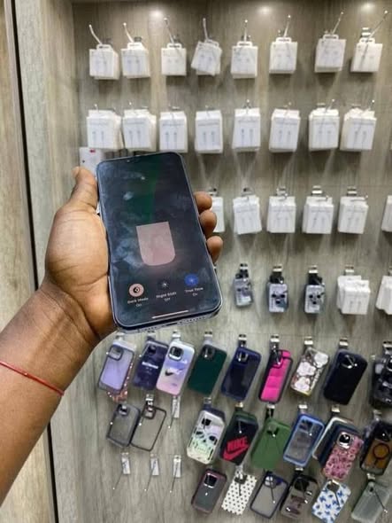 iPhone 13 Pro Max 256Gb