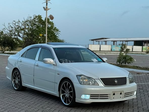 CROWN ATHLETE (CHESIS)