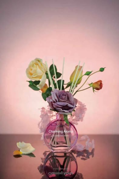 Air Fresh Charming Aroma Diffuser