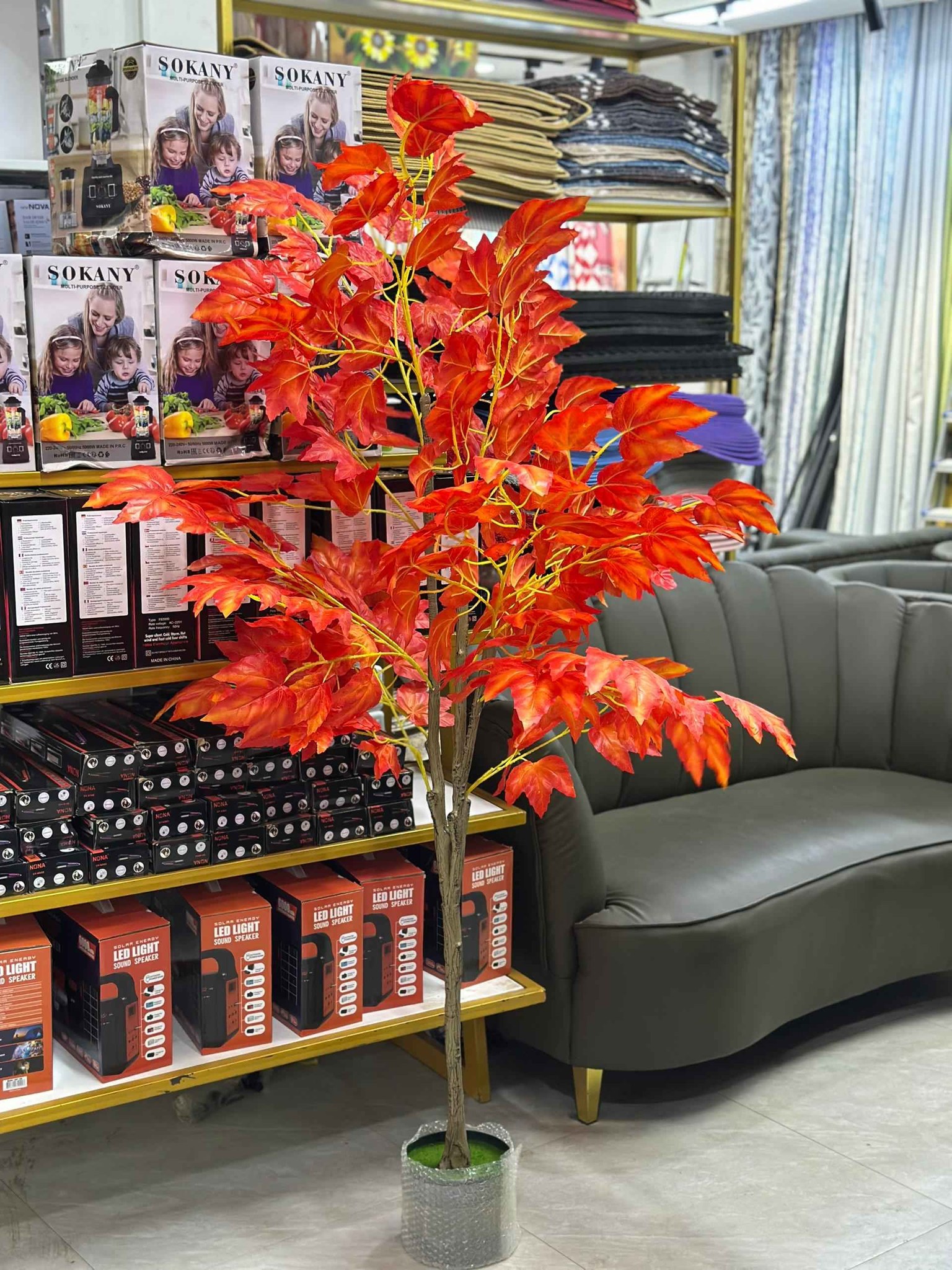 Maua ya Kuweka Katika Kona ya Nyumba