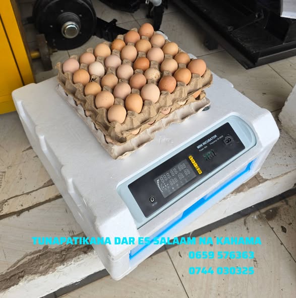 INCUBATOR TOLEO JIPYA !!