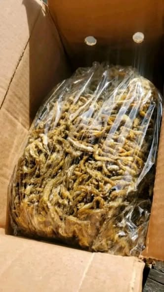 Dagaa Watamu Sana Kutoka Mwanza