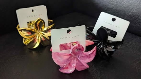 Hair Clips / Vibanio vya Nywele