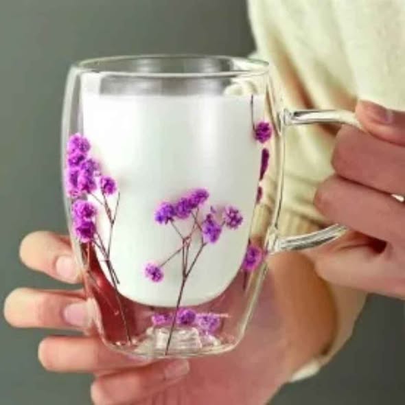 Double Layer Glass Cups