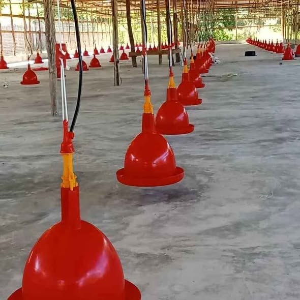 Automatic Bell Drinkers!!