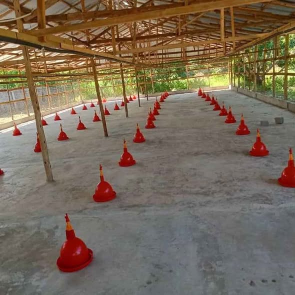 Automatic Bell Drinkers!!