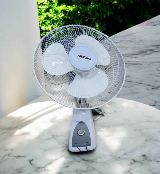 FENI YA UKUTANI SIZE 16 MPYA