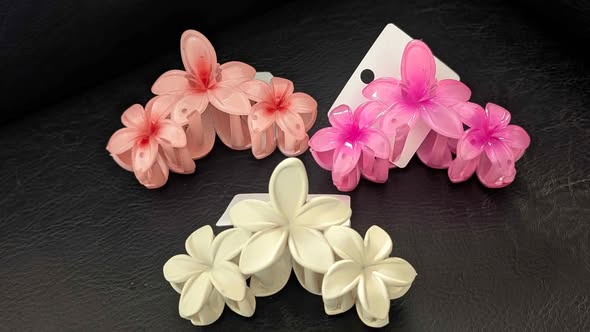 Hair Clips / Vibanio vya Nywele