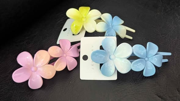 Hair Clips / Vibanio vya Nywele