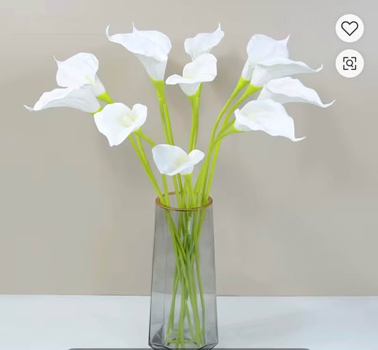 Lily’s Flowers White Colors