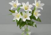 Lily Flowers, White and Pink