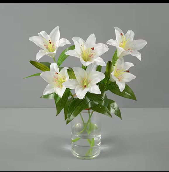 Lily Flowers, White and Pink