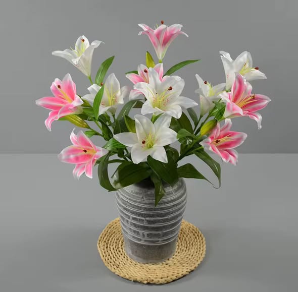 Lily Flowers, White and Pink