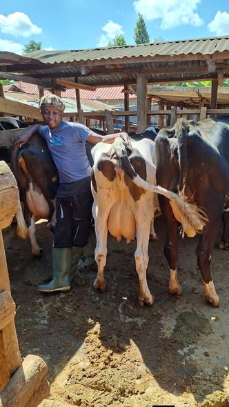 MBALIZI FARMING PROJECT. UZALISHAJI, USAMBAZAJI NA UUZAJI WA NG’OMBE BORA WA MAZIWA