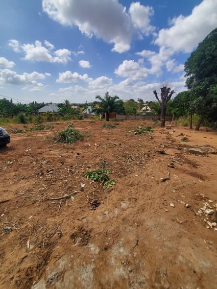 VIWANJA VINAUZWA CHANIKA MVUTI