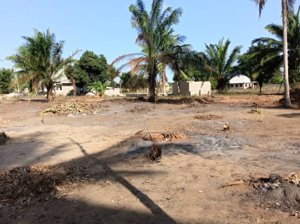 VIWANJA VINAUZWA CHANIKA MVUTI