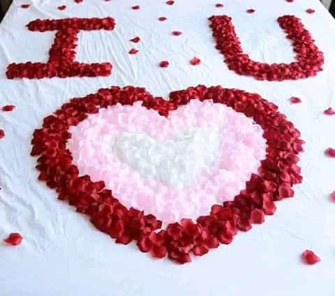 Maua ya Kumwaga Kitandani Rangi Zote