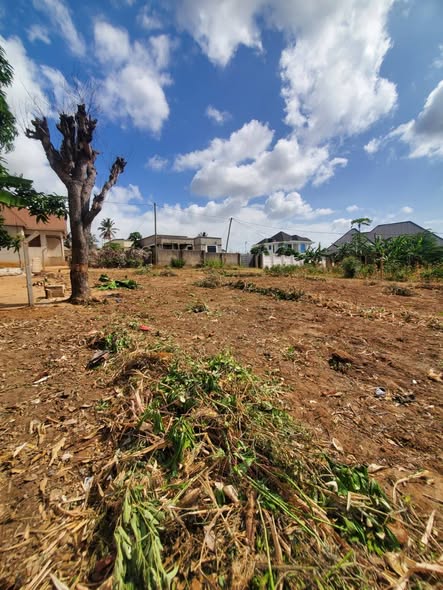 VIWANJA VINAUZWA CHANIKA MVUTI