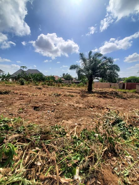 VIWANJA VINAUZWA CHANIKA MVUTI