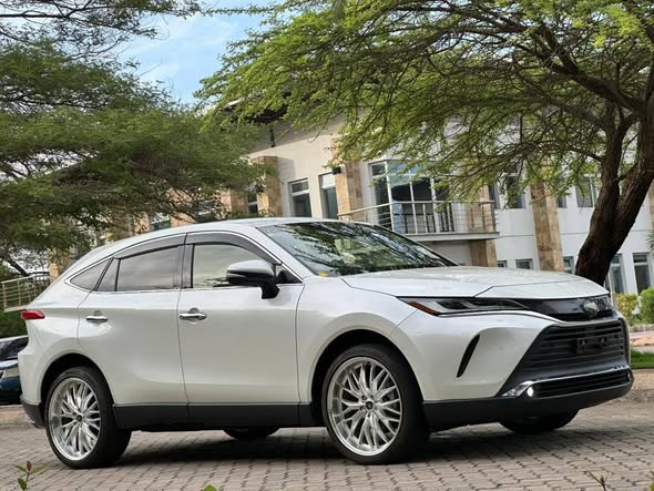 💎 𝟐𝟎𝟐𝟎 𝐓𝐎𝐘𝐎𝐓𝐀 𝐇𝐀𝐑𝐑𝐈𝐄𝐑 💎