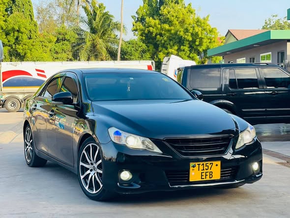 Toyota Mark X New | EFB