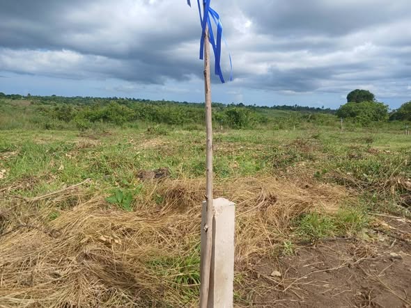 OFA YA MSIMU HUU WA RAMADHANI VIWANJA VINAUZWA