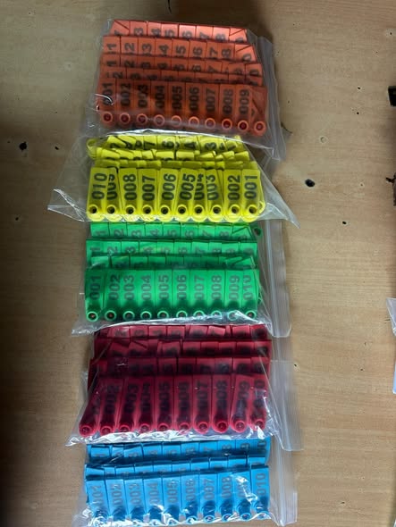 Hereni za Mbuzi, Ng’ombe, Nguruwe, Kondoo Zinapatikana