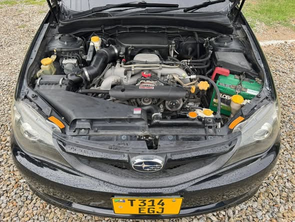 SUBARU Impreza Kali Sana