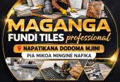 FUNDI TILES PROFESSIONAL