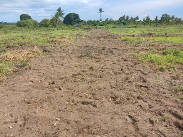 OFA YA MSIMU HUU WA RAMADHANI VIWANJA VINAUZWA