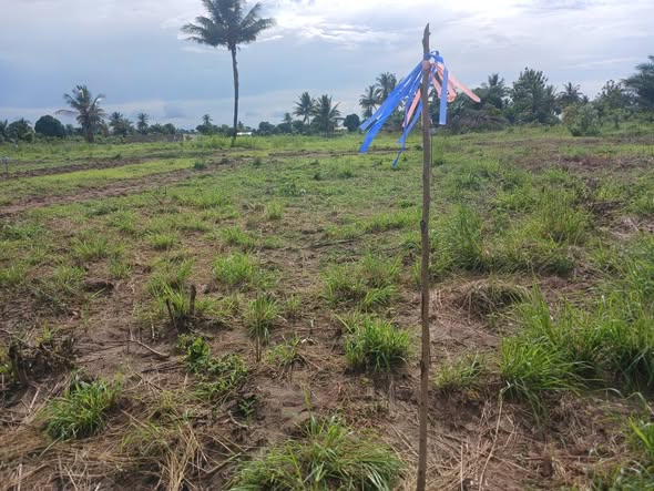 OFA YA MSIMU HUU WA RAMADHANI VIWANJA VINAUZWA