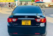 Toyota Mark X New | EFB