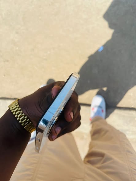 iPhone 13 Pro Max Clean