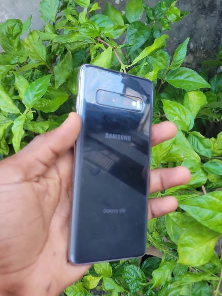SAMSUNG S10 PLAIN