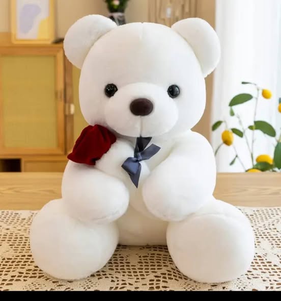 Teddy Bear Dolls🧸🌹