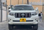 Toyota Land Cruiser Prado 2020💎