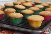 Cupcakes Jumla