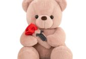 Teddy Bear Dolls🧸🌹