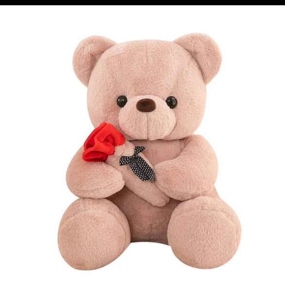 Teddy Bear Dolls🧸🌹