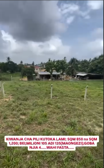 Kiwanja Goba kizuri na kikubwa..