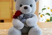 Teddy Bear Dolls🧸🌹
