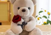 Teddy Bear Dolls🧸🌹